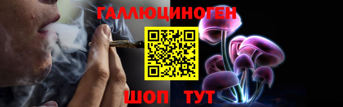 Ачхой-Мартан  Псилоцибиновые грибы Magic Shrooms  Вход с VPN  Псилоцибиновые грибы Psilocybine cubensis 