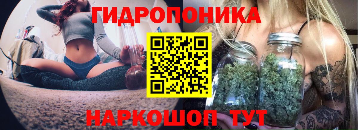 Конопля марихуана  Вход с VPN  Ачхой-Мартан  МАРИХУАНА Ganja  МАРИХУАНА планчик  Канабис MAZAR 